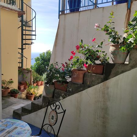 Rifugio Stellato Bed and Breakfast Conca dei Marini Buitenkant foto