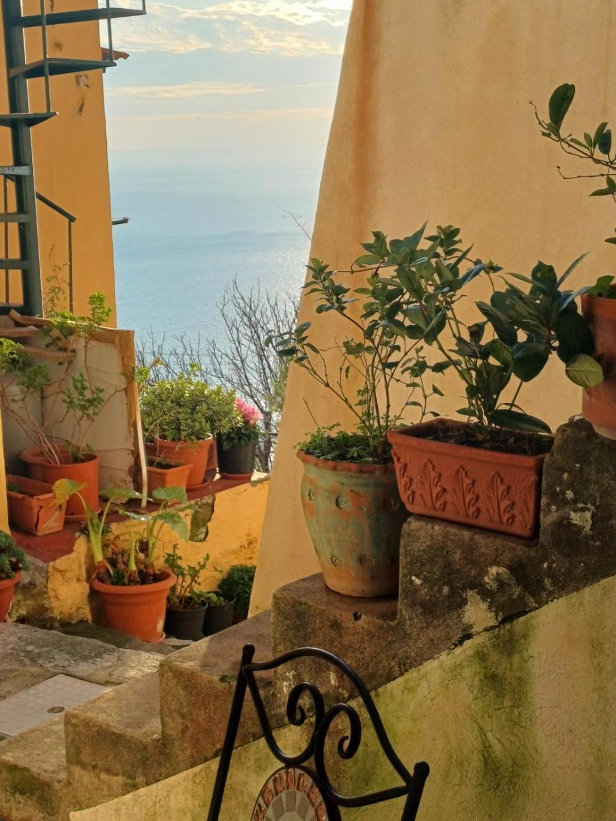 Rifugio Stellato Bed and Breakfast Conca dei Marini Buitenkant foto